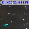 Cl* NGC 2244     PS     555