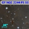Cl* NGC 2244     PS     557
