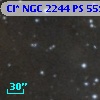 Cl* NGC 2244     PS     559