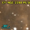 Cl* NGC 2244     PS     561