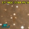 Cl* NGC 2244     PS     565