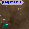 [B96] TDR12 1