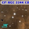 Cl* NGC 2244    CDZ     162