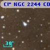 Cl* NGC 2244    CDZ     116