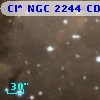 Cl* NGC 2244    CDZ     219