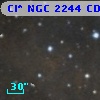 Cl* NGC 2244    CDZ     238