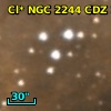 Cl* NGC 2244    CDZ     204