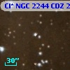 Cl* NGC 2244    CDZ     294