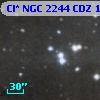 Cl* NGC 2244    CDZ     171