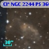 Cl* NGC 2244     PS     366