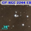 Cl* NGC 2244    CDZ     203