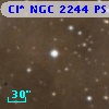 Cl* NGC 2244     PS     197