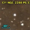 Cl* NGC 2244    CDZ     316