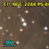Cl* NGC 2244     PS     447