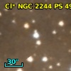 Cl* NGC 2244    CDZ     208