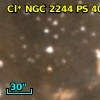 Cl* NGC 2244     PS     406