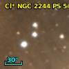 Cl* NGC 2244    CDZ     291