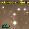 Cl* NGC 2244    CDZ     448