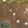 Cl* NGC 2244     PS     527