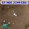 Cl* NGC 2244    CDZ     225