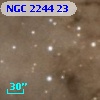 NGC  2244    23
