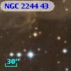 NGC  2244    43