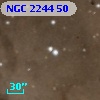NGC  2244    50