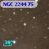 NGC  2244    75