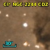 Cl* NGC 2244    CDZ     305