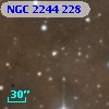 NGC  2244   228