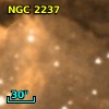 NGC  2237