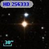 HD 256333