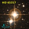 HD  45317