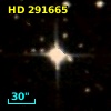 HD 291665
