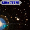 LEDA   75775