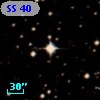 SS  40