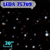 LEDA   75709