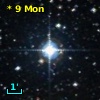 *   9 Mon