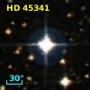 HD  45341