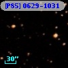 [P85] 0629-1031