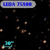 LEDA   75800