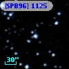 [SPB96] 1125