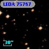LEDA   75787