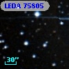 LEDA   75805