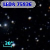 LEDA   75836