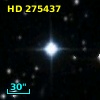 HD 275437