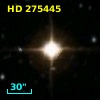 HD 275445