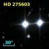 HD 275603