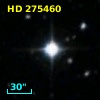 HD 275460