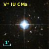 V* IU CMa